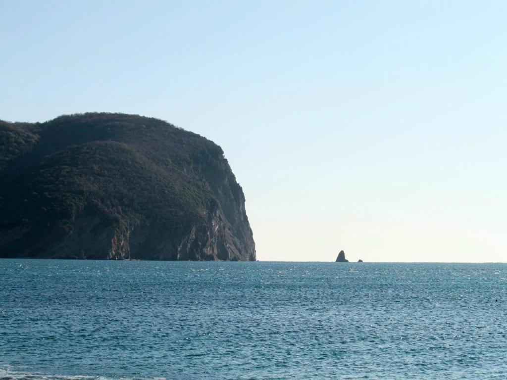 Apartments Galija Petrovac エクステリア 写真